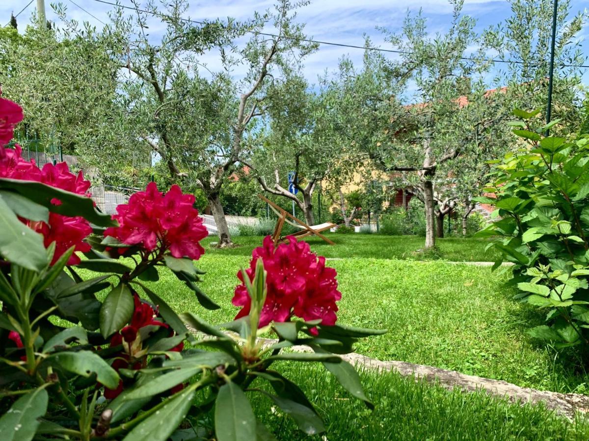 Aloha Apartments Koper Bagian luar foto